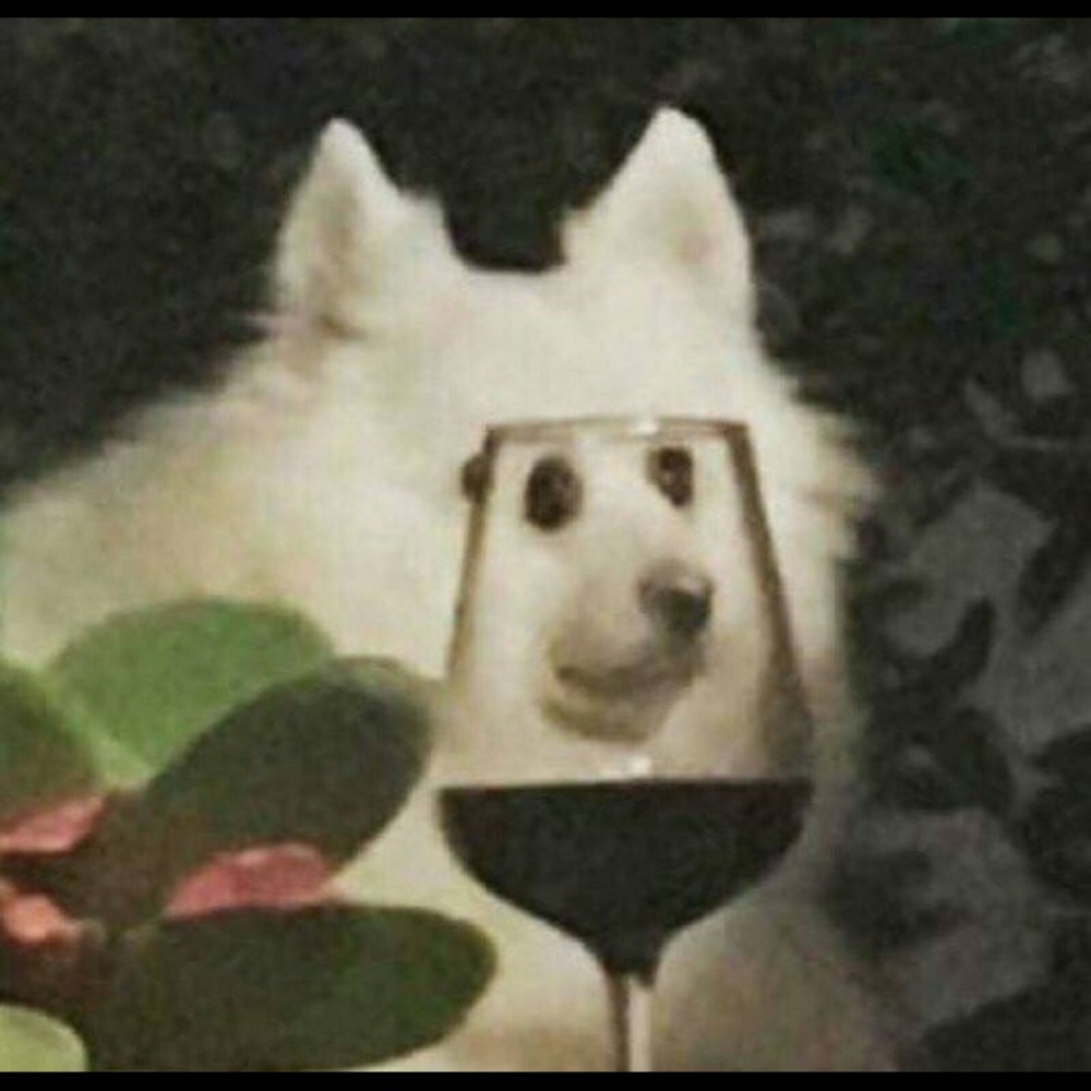 Meet your Posher, Jenny